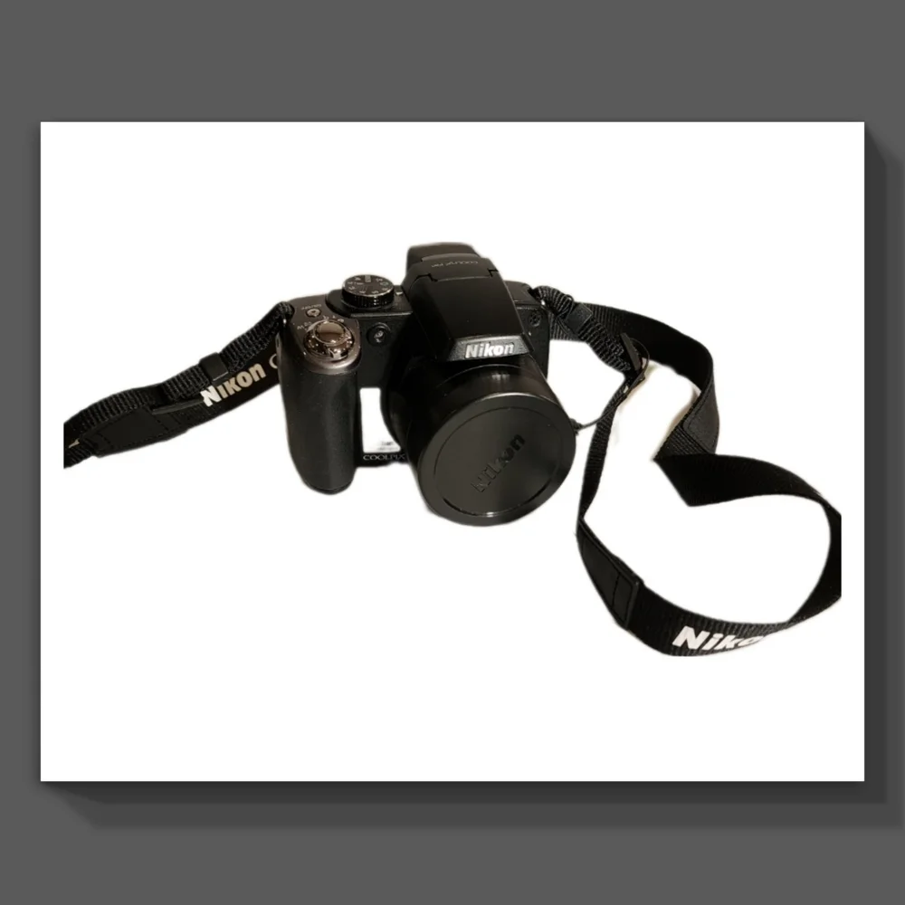 Nikon Coolpix P80 Camera